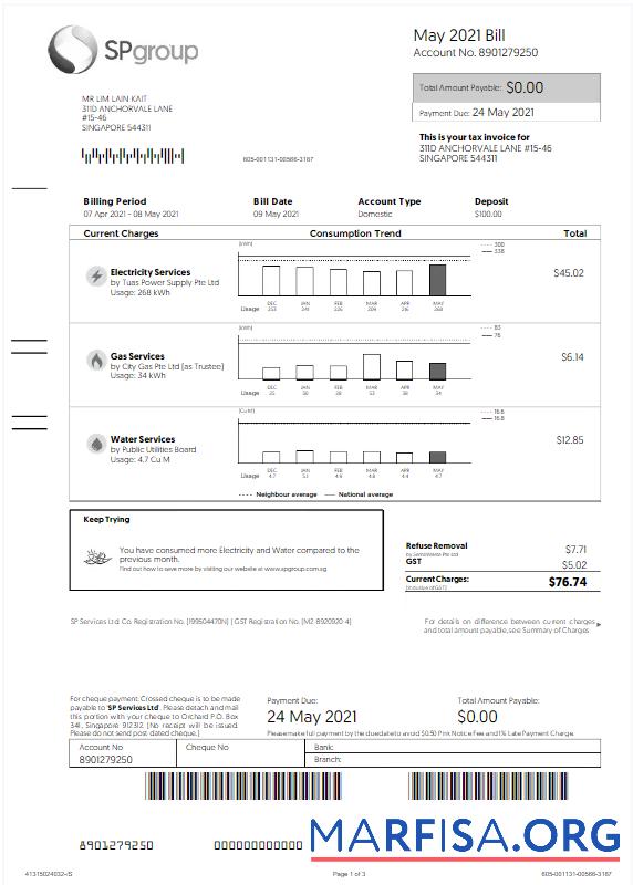 Printable SINGAPORE SP GROUP utility bill Word and PDF template